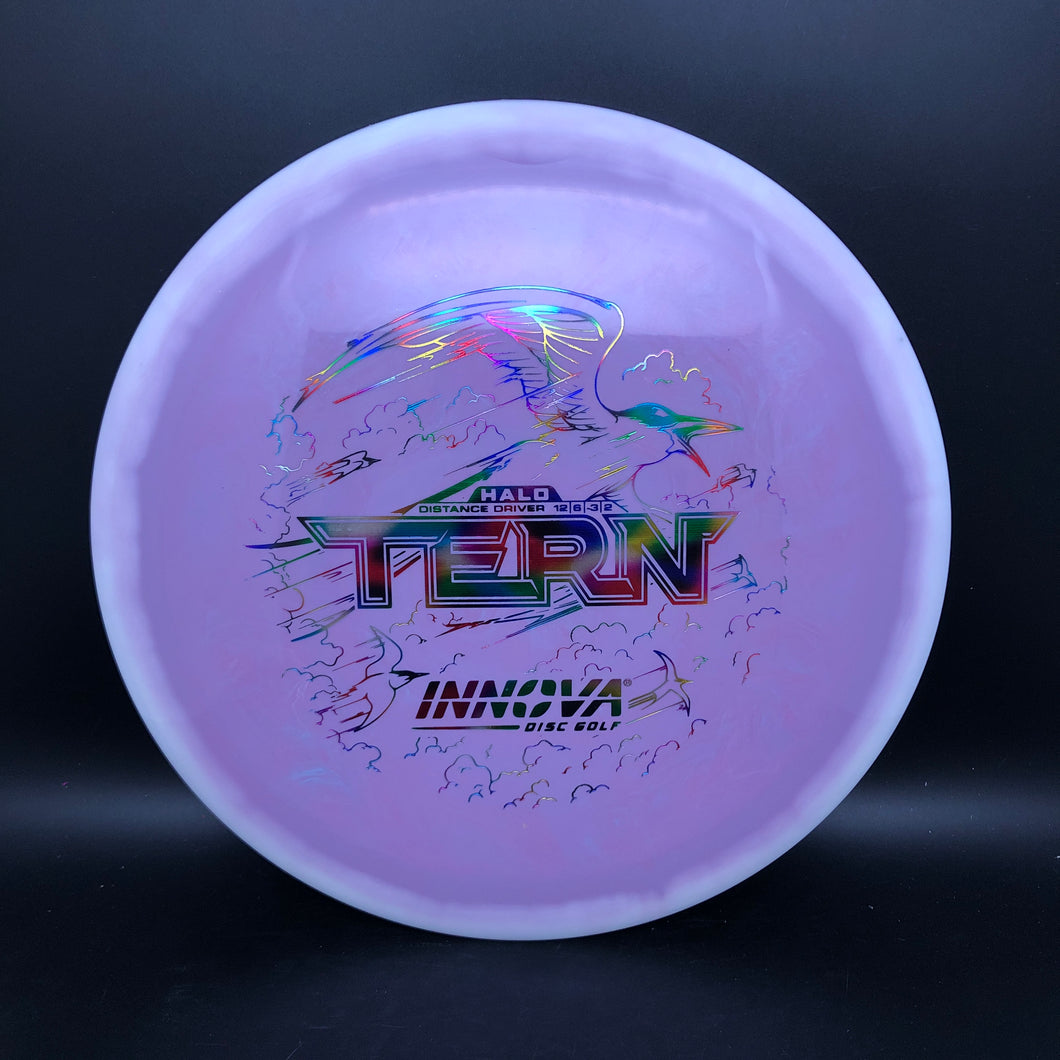 Innova Halo Star Tern - stock