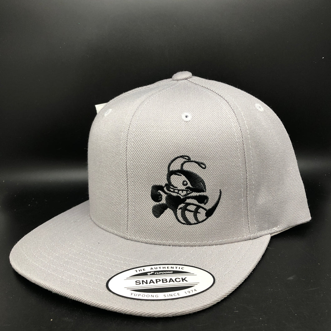Discraft Buzzz Design snapback hat
