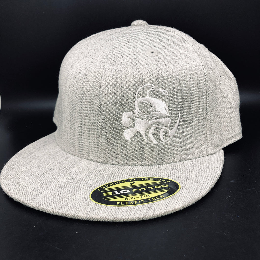 Discraft Buzzz Flexfit Flat Bill hat