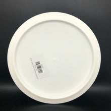 Load image into Gallery viewer, Streamline Neutron Drift - blank white