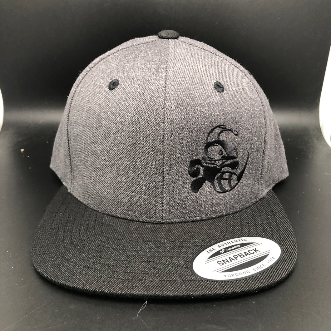 Discraft Two Tone Snapback Hat Buzzz Design